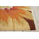 Colleen Floral Indoor Rug