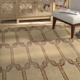 Amarian Geometric Indoor Rug