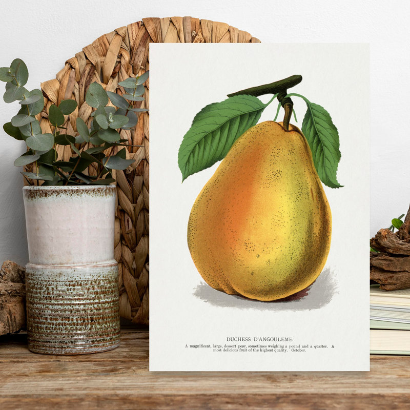 «Duchess D'angouleme Pear», art mural rétro rétro, H 18 po x l 12 po