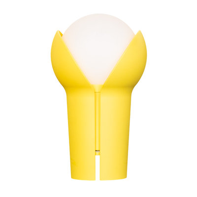LED Table Lamp