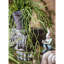 Plante usnea artificielle-1023420031
