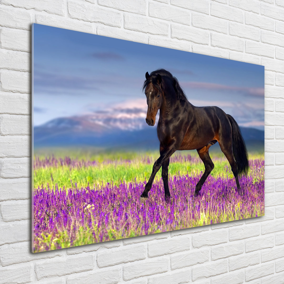 Glasbild Horse On The Lavender Field