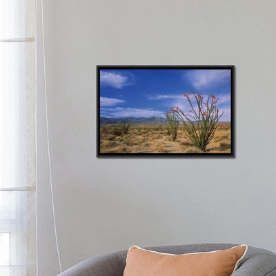 «Ocotillo and The Vallecito Mountains, Anza-Borrego Desert State Park, California» par Tim Fitzharris, reproduction d'art graphique sur toile