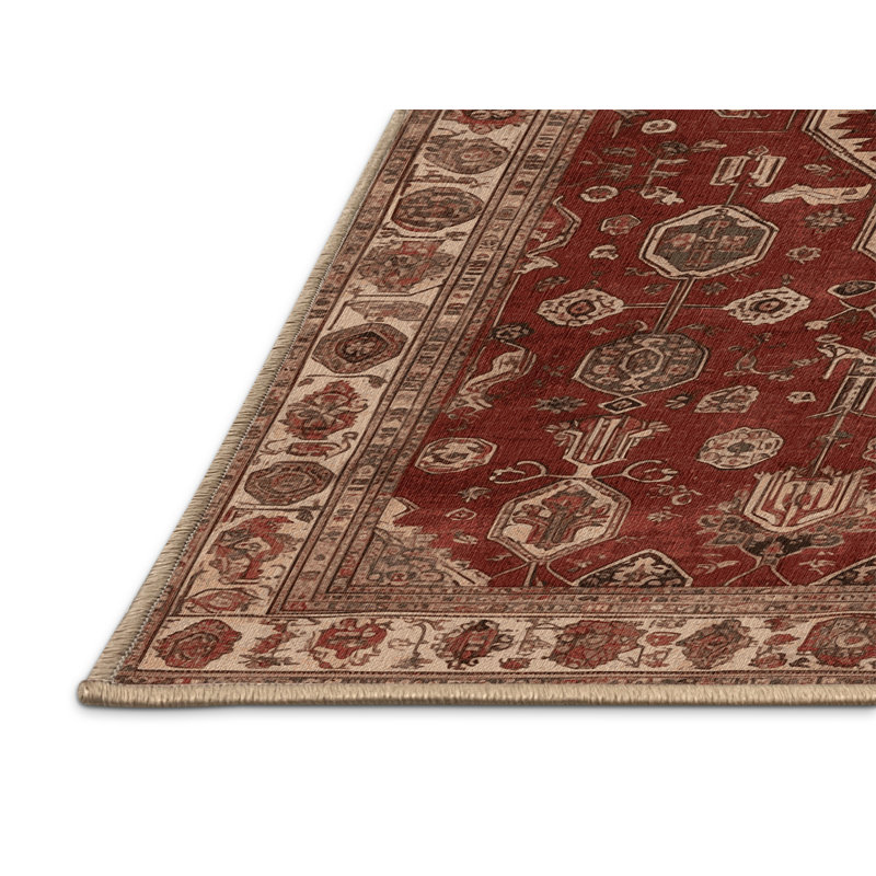 Tapis brun lavable à la machine, Rectangulaire 2 pi x 3 pi