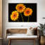 Trois marguerites Harnek sur fond sombre-108136810
