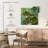 Brampt Little Frog-109095667