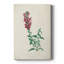Traditional Botanical I - galerie sur mesure-2123653512