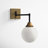 Hallas 1-Light Dimmable Swing Arm Sconce