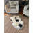Brianni Indoor Rug