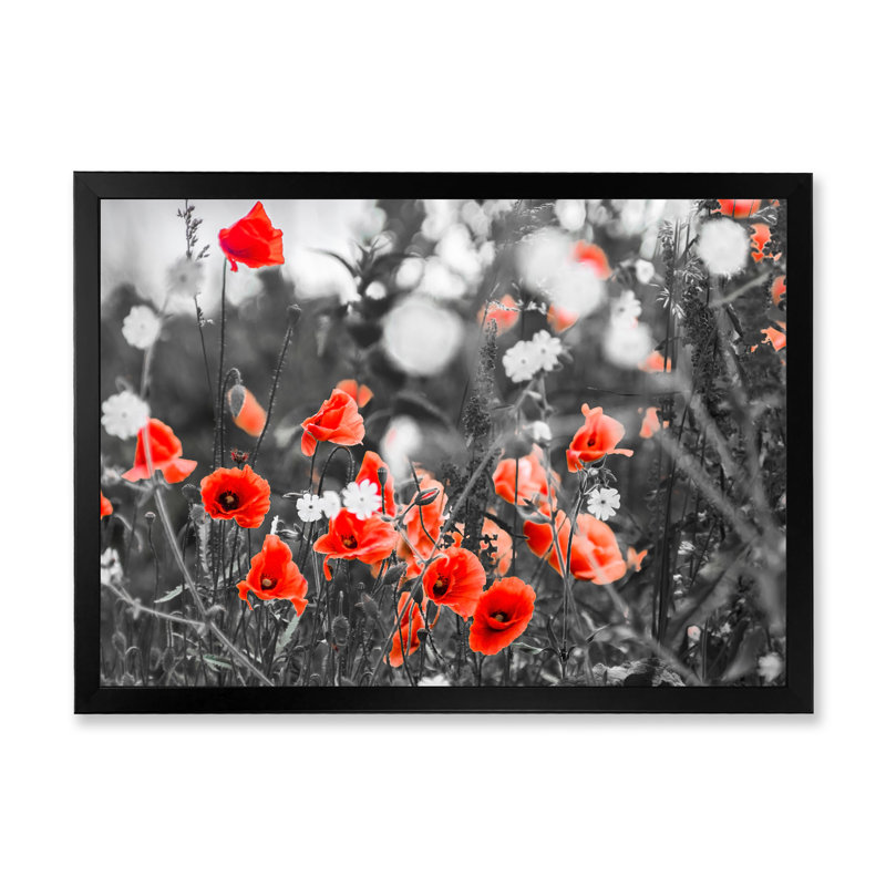 «Red Poppy Flowers on the», reproduction sur toile, Toile avec cadre noir, H 8 po x l 12 po x P 1 po