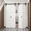 Porte de grange Bifold-115071417