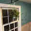 Customer photo 2 of 3
