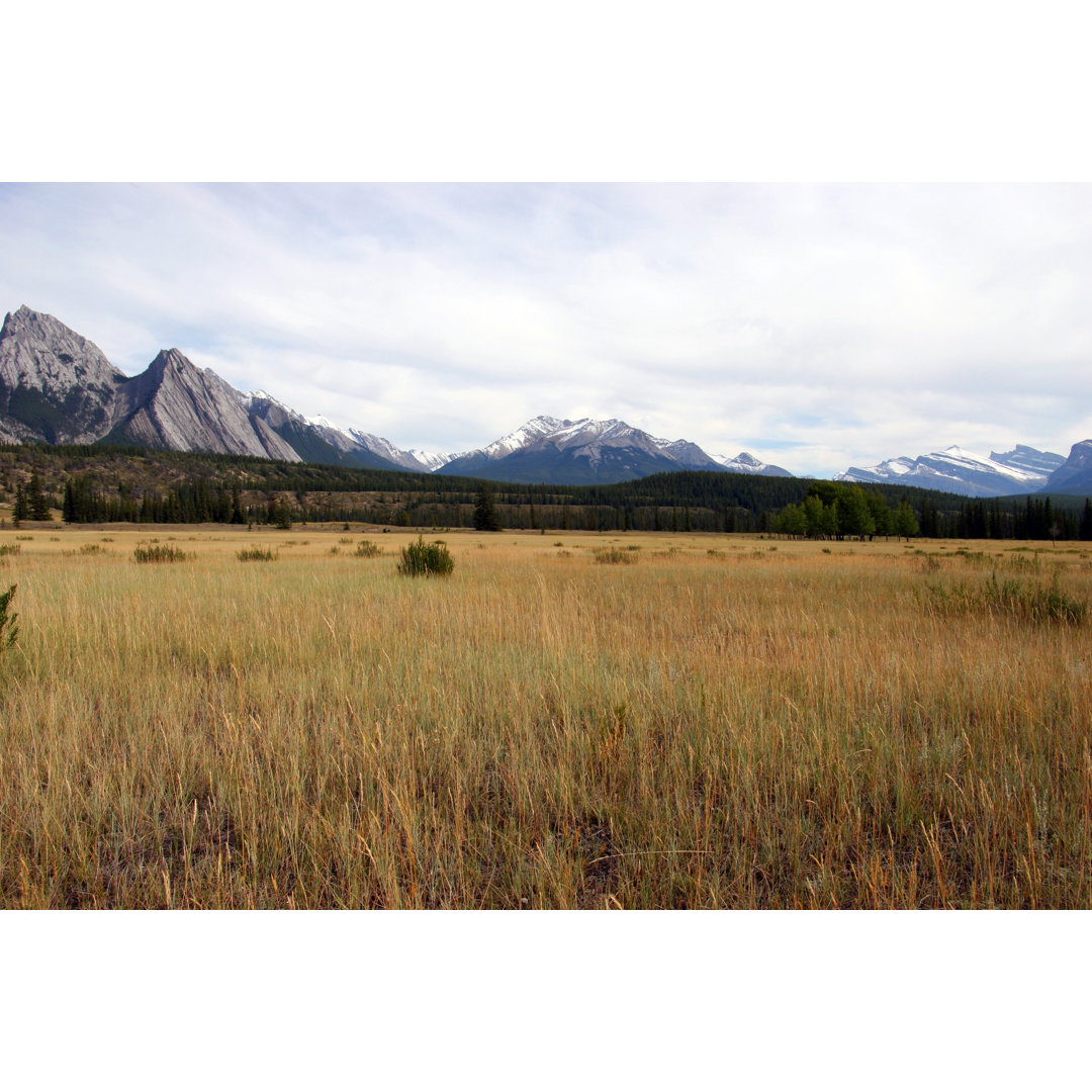 Mountain Meadow von Wolv - Kunstdrucke