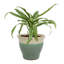 Jardinière extérieure Berlina-1292973036-1293001908