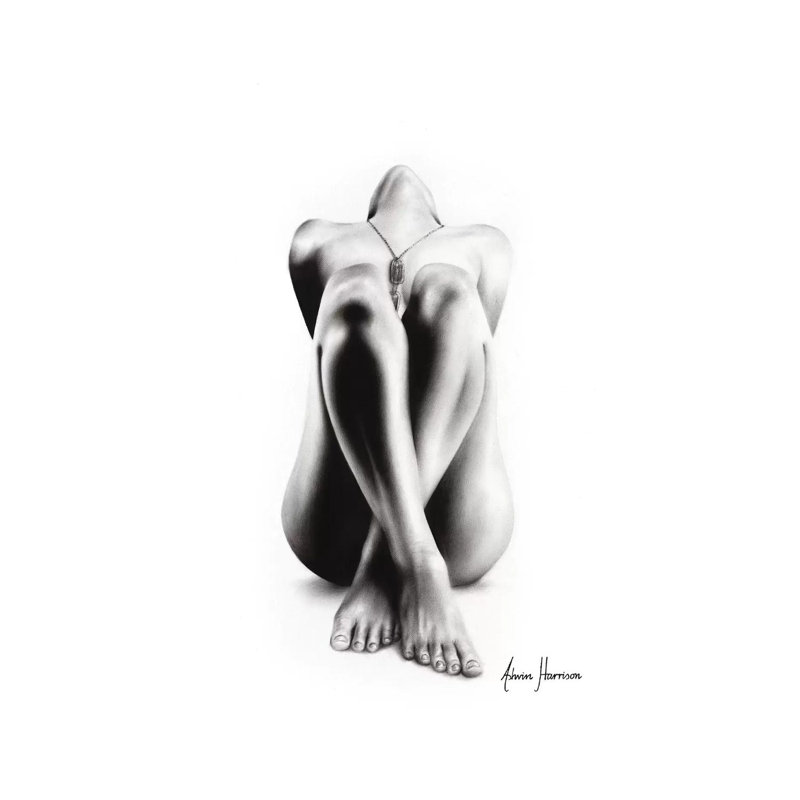 The Veteran by Ashvin Harrison - Wrapped Canvas Print, 20.32 cm H x 30.48 cm W