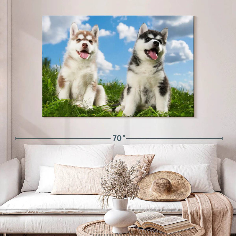 Husky Babies, H 34 po x l 51 po