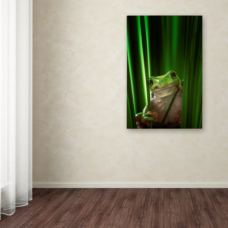 « green grenouille », reproduction d’impression sur toile tendue, H 24 po x l 16 po