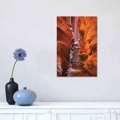 Buckskin Gulch IV by Alan Majchrowicz - Print on Canvas