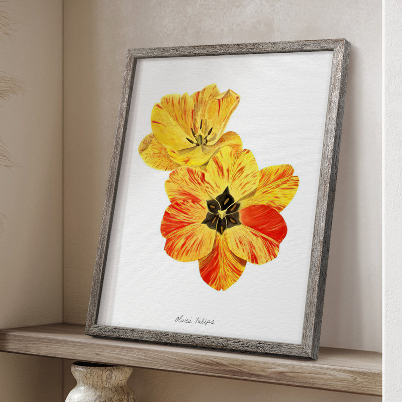 Olive's Tulips I, reproduction encadrée - bois massif, H 15 po x l 12 po