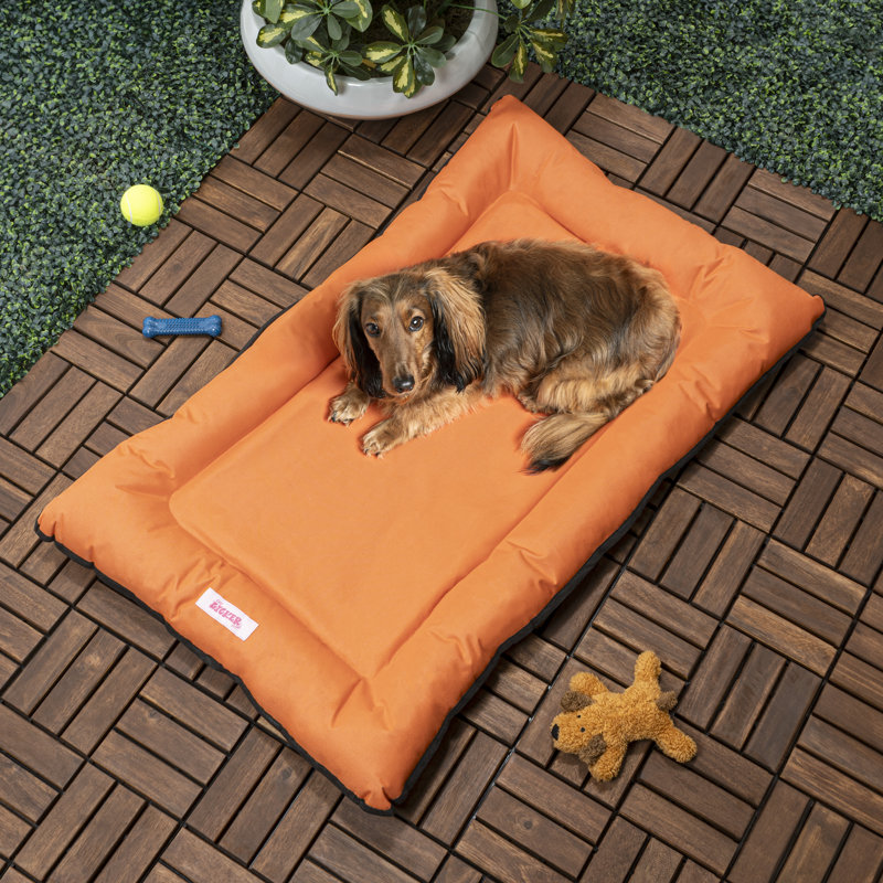 Medium Tangerine Waterproof Memory Foam Outdoor Bolster Pet Bed