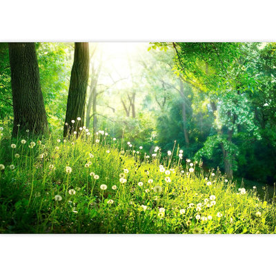 Peel & Stick Border