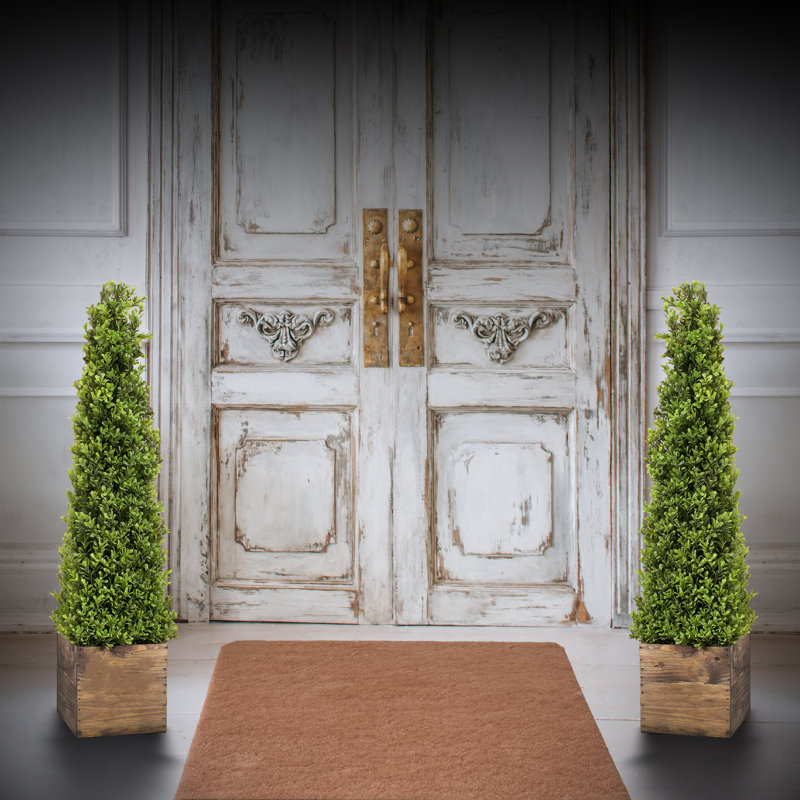 Topiaire de buis Armatha Spring en pot, H 36 po x l 6,5 po x P 6,5 po