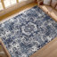 Windsom Area Rug-1620236276