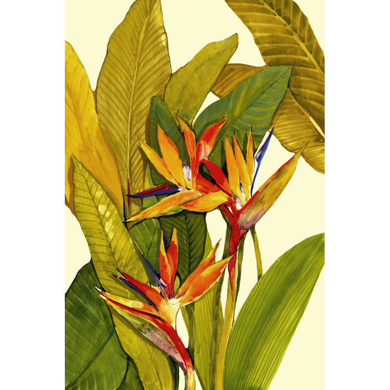 Tropical Bird Of Paradise by Tim OToole - Wrapped Canvas Painting, 46cm H x 30cm W x 3.8cm D