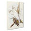 Blood-Stained Cockatoos by Elizabeth Gould - Wrapped Canvas-55371158