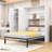 Murphy Bed with Wardrobes and Folding Mechanism, Convert into A Cabinet-1560805166-1560805164