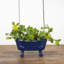 Mini porte-savon Colburn-911383868
