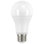 13 Watt LED Bulb