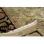 Trinity Wool Oriental Area Rug
