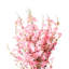 Fabric Cherry Blossom Arrangement