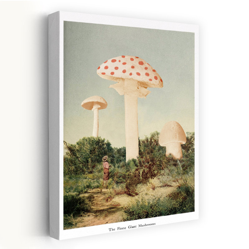 Print, 45.72cm H x 30.48cm W