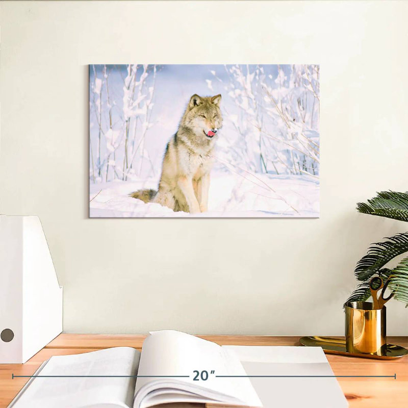 Brampt Feral Timber Wolf, 8" H x 12" W