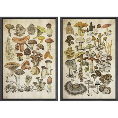 Mushroom Botanical Modern Vintage Rustic Framed On Canvas 2 Pieces Print -  IDEA4WALL