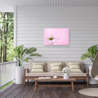 Canvas Plants & Flowers Wall Decor