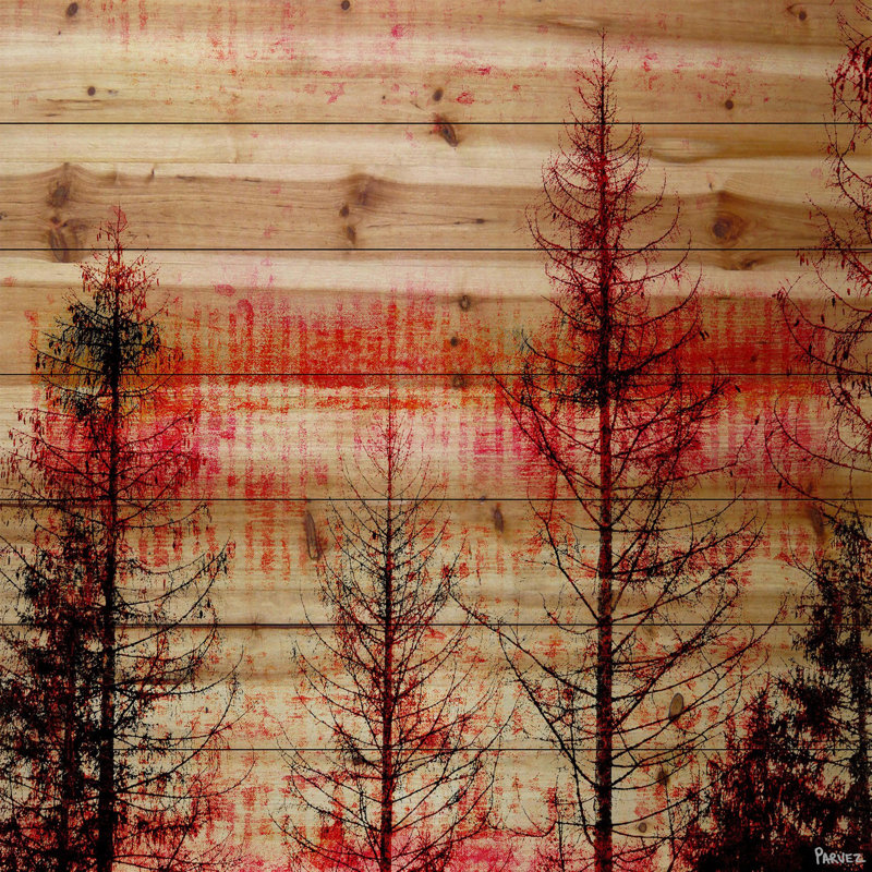 «Red Enchanted Forest» par Parvez Taj - impression sur bois, H 18 po x l 18 po x P 1,5 po
