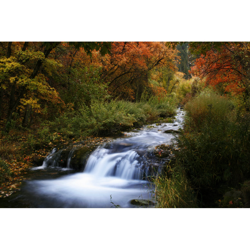 Spring Hollow Campground Stream by Ellyette - Wrapped Canvas Print, 81cm H x 122cm W