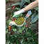 Vase de table toucan Elysian