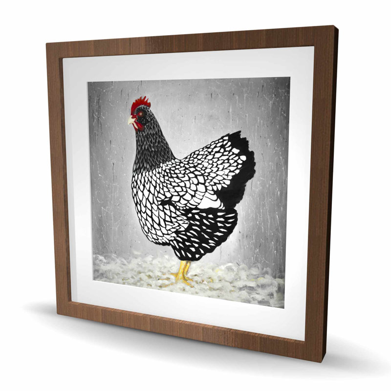 Poule Wyandotte noire et blanche - décor de plumes
