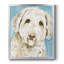 Labradoodle I, toile encadrée de qualité supérieure - prête à être accrochée-547013909-547013908