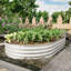 Ensemble de jardin surélevé galvanisé 8 x 4 x 1 pi pour légumes et fleurs et herbes