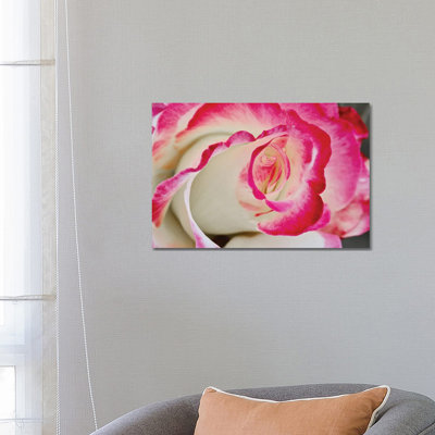 Swirled Rose Close Up by Susan Vizvary - Wrapped Canvas Print