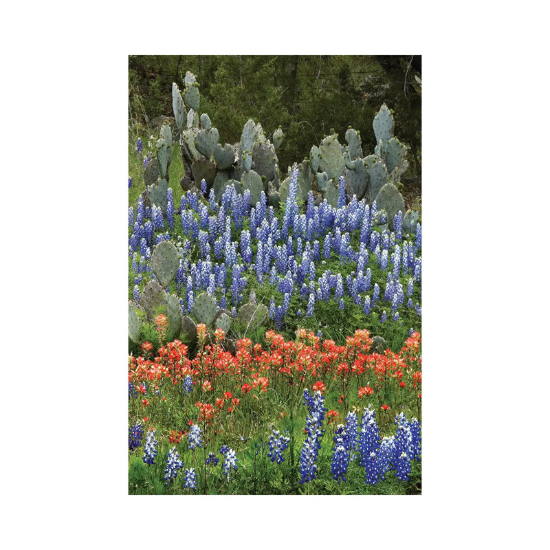 Bluebonnet, Paintbrush Cactus, Texas And Pricky Pear - Vertical by Tim Fitzharris - Wrapped Canvas Print