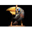 Watchful Toucan Metal Print