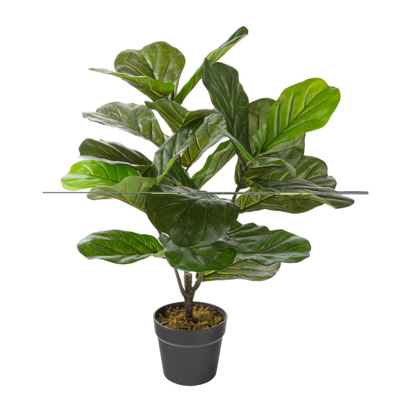 Figuier artificiel en pot, H 27,55 po x l 26 po x P 26 po