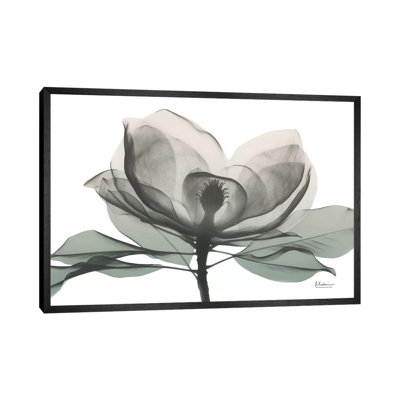 Sage Magnolia I 1 Piece Wall Art on Canvas