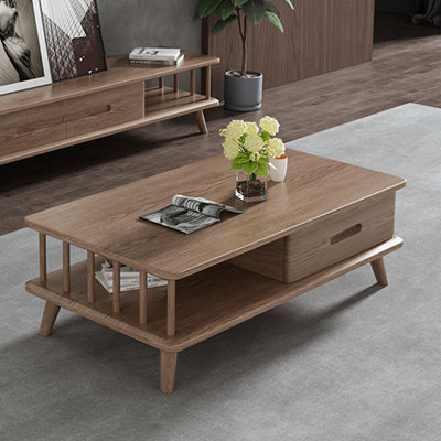 Modern minimalist coffee table storage cabinet